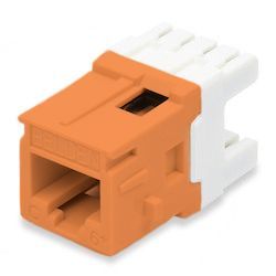 Belden Cat6+ RJ45 Punchdown Modual Jack - MDVO - RJ45 | ShowMeCables.com