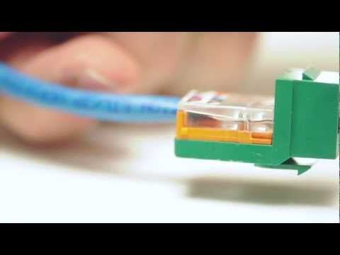 Panduit Netkey Cat5e RJ45 Universal Keystone | ShowMeCables.com