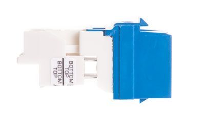 Panduit Netkey Cat6 Universal Keystone - Blue | ShowMeCables.com