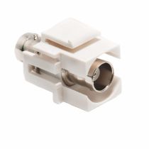 BNC Feed-Thru Keystone Coupler - 50 Ohm - White