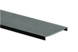 Panduit Wire Duct Cover for 2x2 or 2x4 G Wide Slot Wiring Duct - Black - 6 FT - Single Piece
