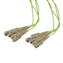 ShowMeCables Fiber Dist Cable, 6 Strand SC/UPC-SC/UPC OM5, 5mm Riser Jkt, 2.0mm breakout at .5M