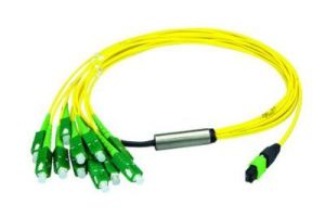9/125 OS2 APC Singlemode MTP/MPO to SC Breakout Fiber Patch Cable - 12 Fiber