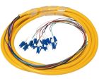 3 Meter Fiber Optic Pigtail - 12 Strand Single Mode 9/125